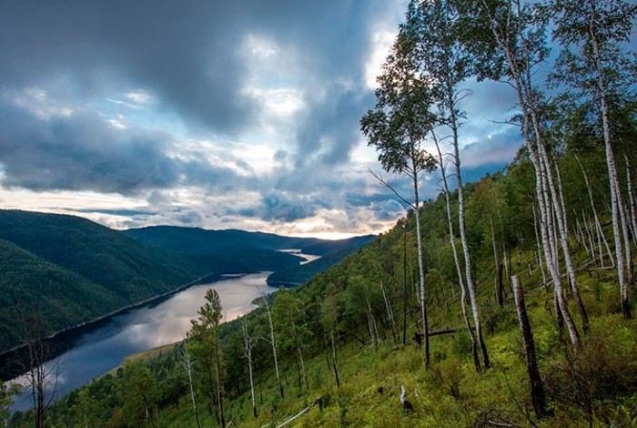 Доклад: Амурская область